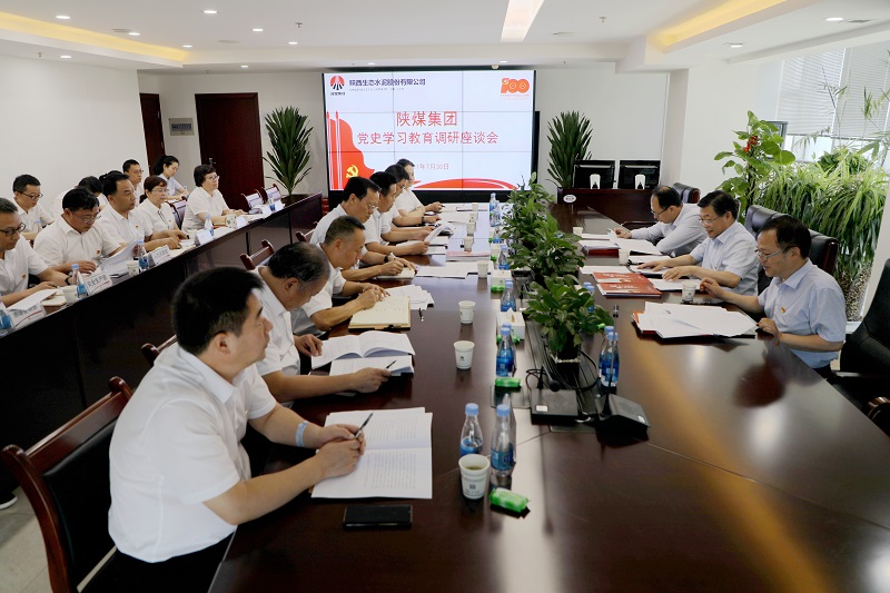 陜煤集團黨委副書(shū)記、董事尤西蒂調研生態(tài)水泥公司黨史學(xué)習教育