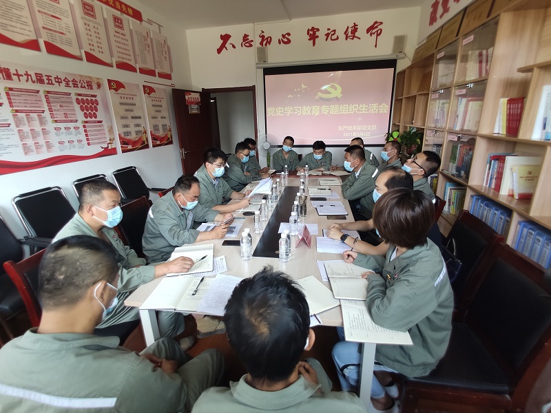 實(shí)、準、狠三字訣 助力黨史學(xué)習教育專(zhuān)題組織生活會(huì )走深走實(shí)
