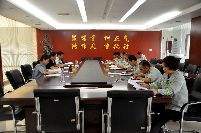 富平公司召開(kāi)“不忘初心、牢記使命” 專(zhuān)題民主生活會(huì )