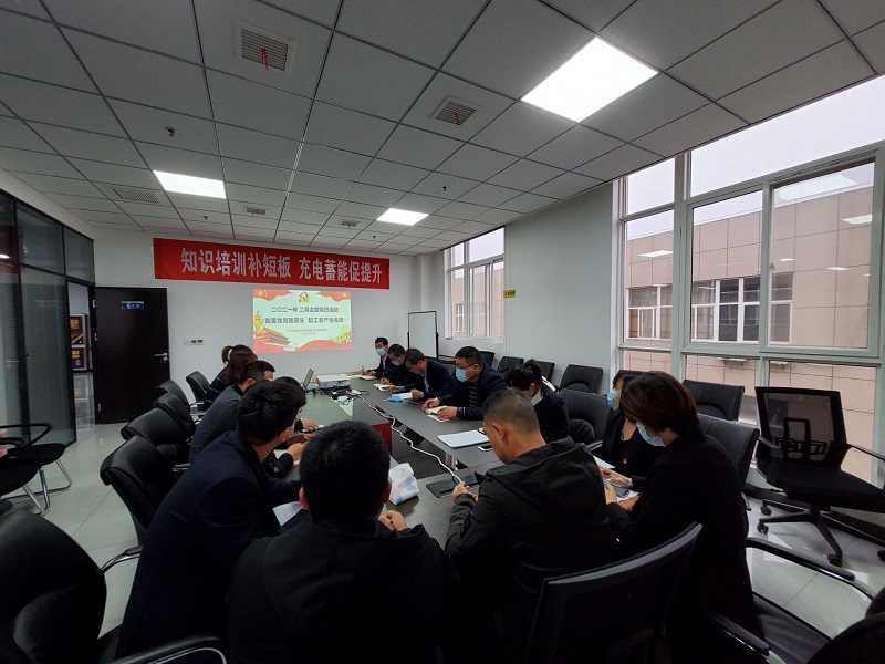 智引公司組織開(kāi)展“我是黨員我帶頭、復工復產(chǎn)當先鋒”主題黨日活動(dòng)