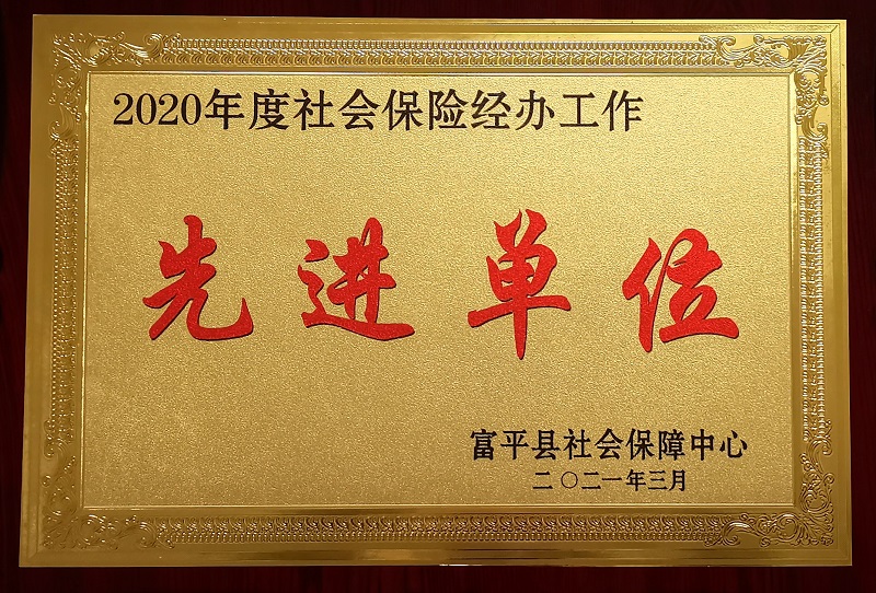 富平公司榮獲富平縣“社會(huì )保險工作先進(jìn)單位”