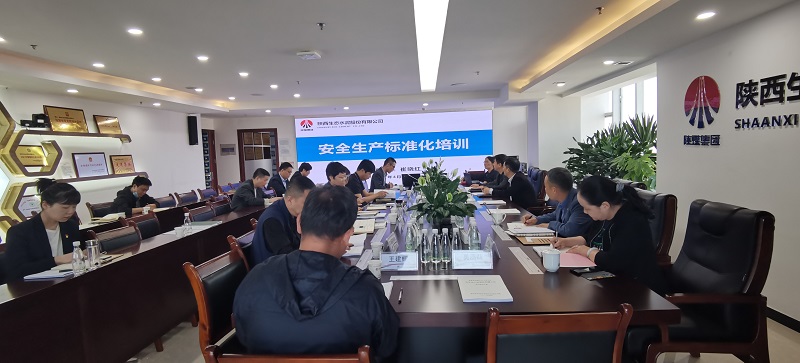 生態(tài)水泥公司組織開(kāi)展安全生產(chǎn)標準化培訓會(huì )