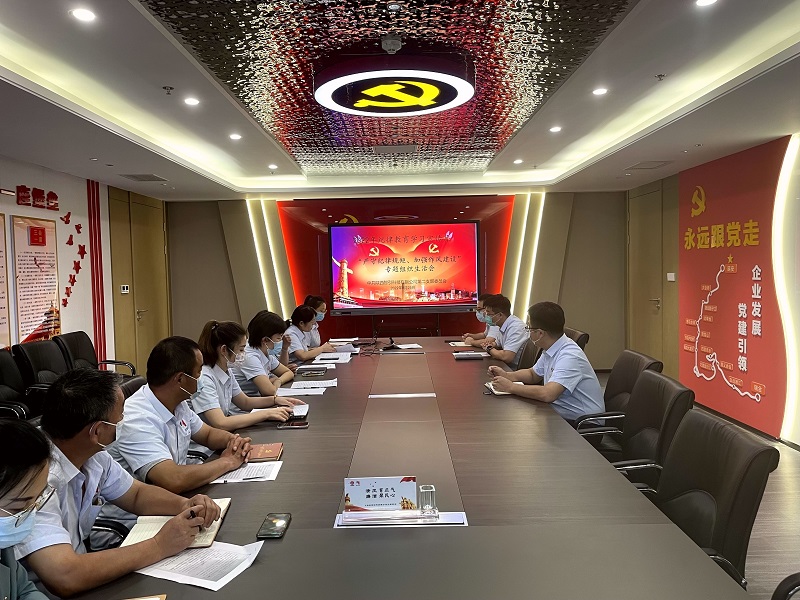 智引公司突出“深、實(shí)、準、真、狠” 確保專(zhuān)題組織生活會(huì )有實(shí)效