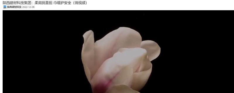 奮進(jìn)陜煤、陜煤集團抖音、陜煤集團微信公眾號 | 陜西建材科技集團：柔肩挑重擔 巾幗護安全（微視頻）