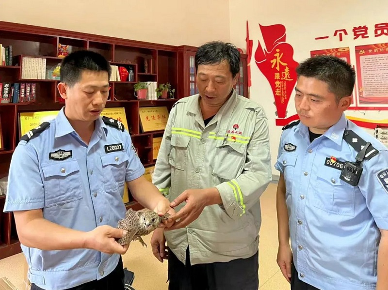 暖心！富平公司與薛鎮派出所攜手成功救助國家二級保護動(dòng)物