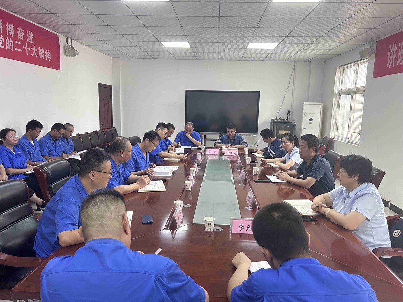陜西建材科技公司黨委副書(shū)記、總經(jīng)理周紅一行到賽柯瑞思公司調研指導工作