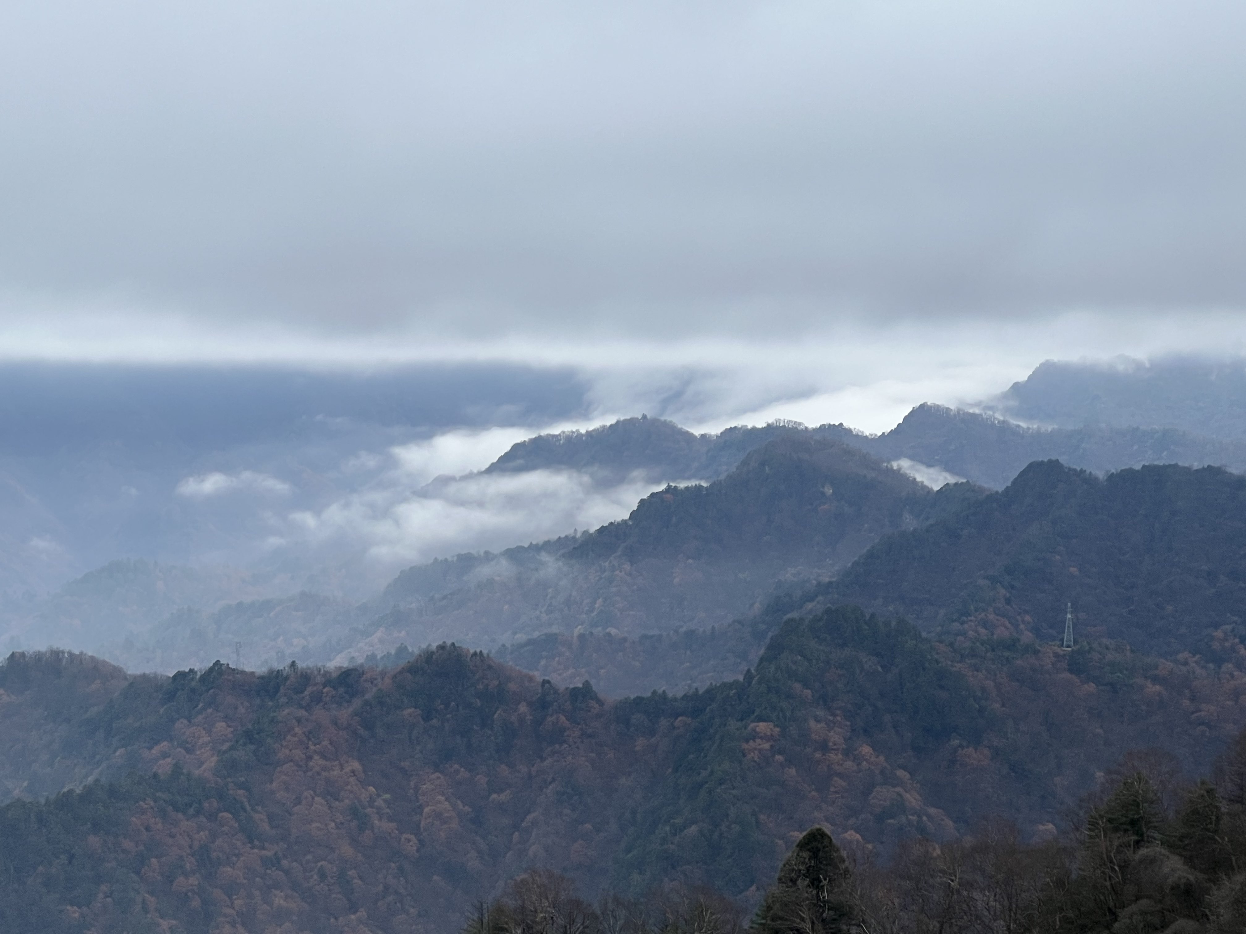 華山營(yíng)銷(xiāo)公司：冬已立，寒信至